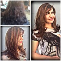 Multi Color Highlights