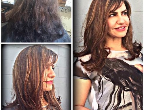 Multi Color Highlights